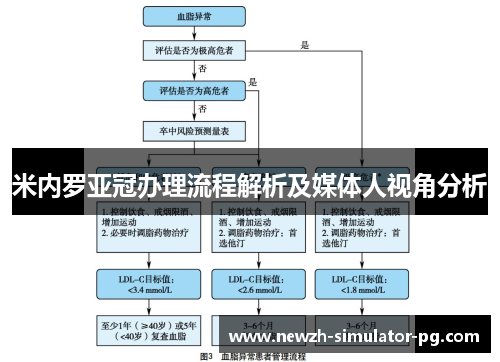 米内罗亚冠办理流程解析及媒体人视角分析