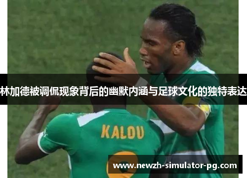 林加德被调侃现象背后的幽默内涵与足球文化的独特表达