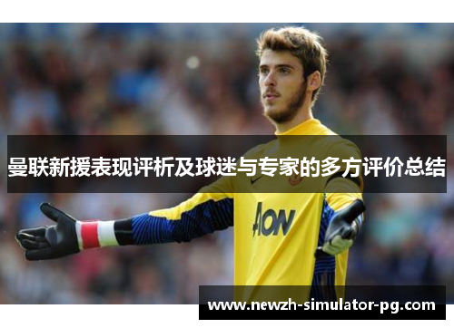 曼联新援表现评析及球迷与专家的多方评价总结